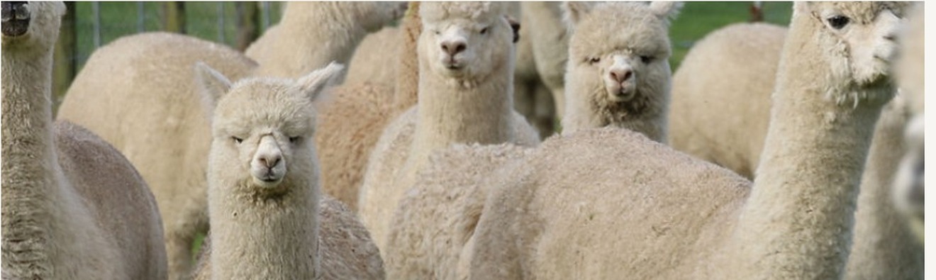 Agrodome 生態農業學習