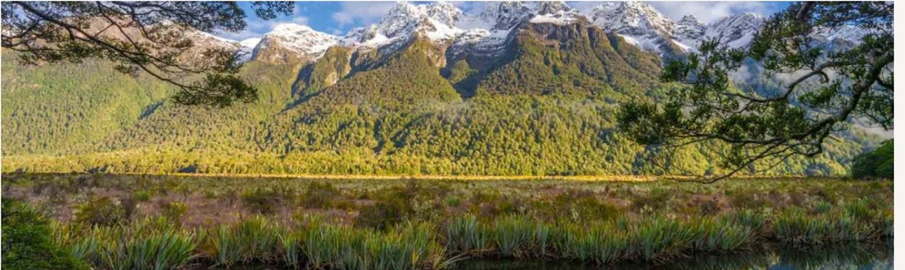 新西蘭山景與自然環境